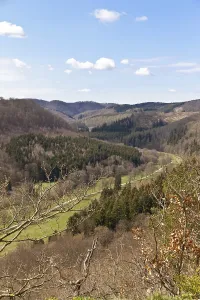 View into the Selke Valley