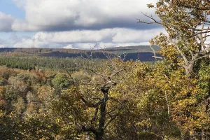 View of the Selketal in autumn