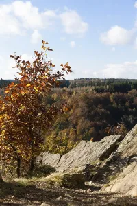 View of the Selketal in autumn
