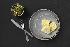 Top view of semifinished squid cutlet in breading on a plate