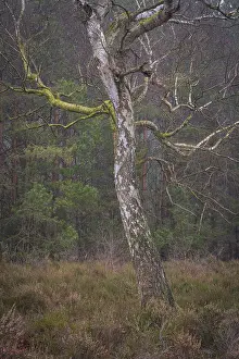 View of a single bike standing alone on a heath area