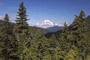 View of the snow-capped volcanic cone of Mount Rainier