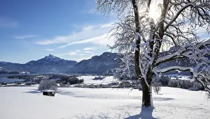 Category Mountain Landscapes Prints: View of snow-covered Mondseeland with Schafberg and Drachenwand