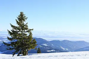 View from the snow-covered summit of the Belchen to mountain ranges and alpine chain Black Forest