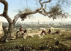 View from Southwest to Lydda, Holy Land