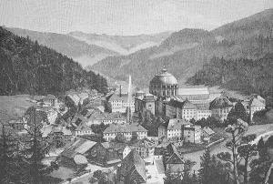View of St. Blasien with the monastery and the cathedral of St