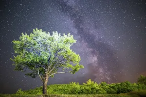 A view of the stars of the Milky Way