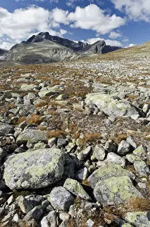 View of Storstyggesvanatinden mountain in the Svanadalen valley