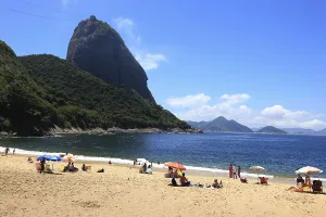 View to the Sugar Loaf from the south