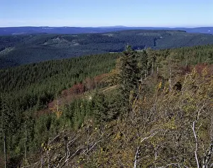 View across the Thuringian Forest