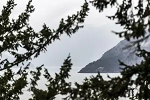 Framed Print : View through tree branches of water