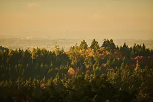 View over the trees and forest of the front bavarian forest in autumn near Wiesent