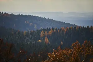 View over the trees and forest of the front bavarian forest in autumn near Wiesent