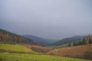 View of the valley and Whinlatter Forest in cloudy weather