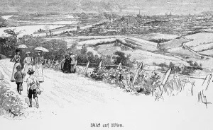 View of Vienna, hilly landscape with cityscape
