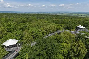 View from the viewing platform of the treetops with the treetop path