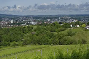 View from the vineyards to Heilbronn