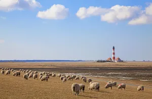 View to the Westerhever lighthouse
