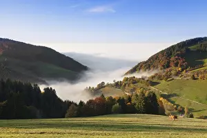 View from Wiedener Eck over the Rhine plain during fog
