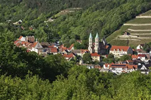 View of the wine-growing town of Freyburg with vineyards and St Marien church