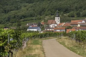 View of the wine village of Weyher