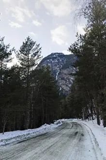 A view of a winter mountain road covered with snow and sand in a pine forest