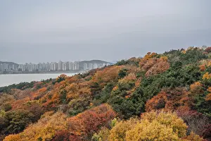 View of Wolmido island park and sea at autumn in Incheon