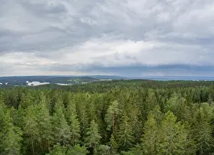View of a Wooded landscape from Granna mountain in Sweden