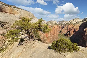 View of Zion Canyon from Angels Landing