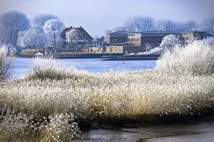 View of Zollenspieker Fahrhaus and Zollenspieker nature reserve on the Elbe in Kirchwerder