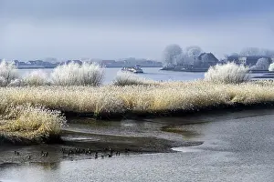 View of Zollenspieker Fahrhaus and Zollenspieker nature reserve on the Elbe in Kirchwerder
