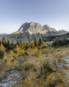 View of the Zugspitze, autumn colouring with yellow larches