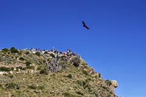 Viewpoint on a green rock with people watching the sky while birds fly