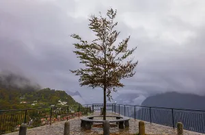 Viewpoint over Mountainscape and Alpine Village Bre with Autumn Tree in a Cloudy Day in Monte Bre