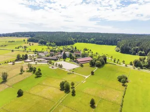 Village in the middle of green meadows and forests
