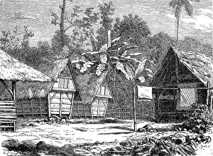Village street in Buitenzorg, today Bogor