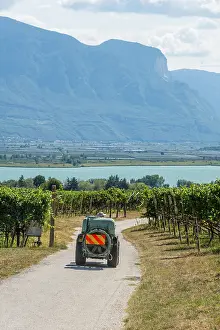 Vineyard vehicle for spraying between vines