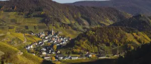 Vineyards in autumn, MayschoB with parish church