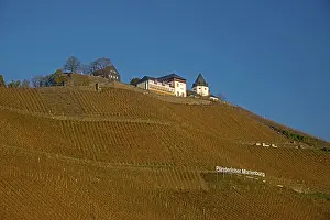 Vineyards and Marienburg near Puenderich