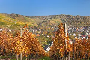 Vineyards with a view of Uhlbach