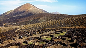 Category Mountain Landscapes Prints: Vineyards with walls made of lava stone