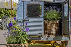 Vintage car, flowers, decoration in front of castle