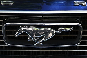 Vintage Ford Mustang, emblem, front view, Germany, Europe