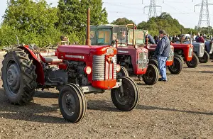 Vintage Massey Ferguson tractors at auction sale of vintage farming equipment