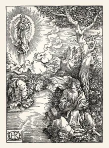 Vision of John on Patmos, Book of Revelation