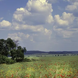 The visit to the landscapes on Ruegen