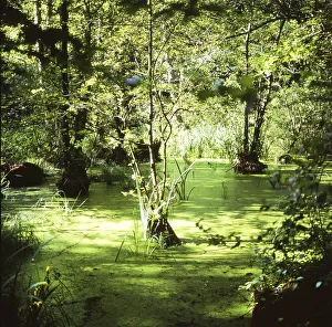 The visit to the landscapes on Ruegen