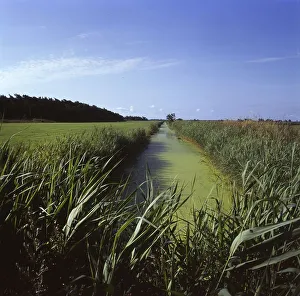 The visit to the landscapes on Ruegen