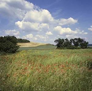 The visit to the landscapes on Ruegen