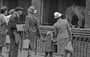 Visit to the Zoo, 1962, Leipzig